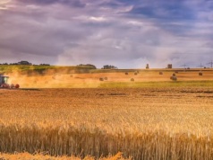 Definicja aktywnego rolnika – więcej problemów niż korzyści?