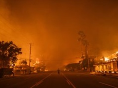 Pożary w Kalifornii a zmiany klimatu. Ekspertka: W Polsce takie zjawiska będą pojawiać się częściej