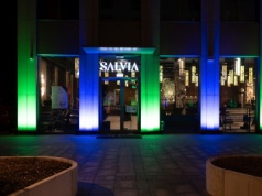 Salvia: Nowa kulinarna gwiazda na mapie Krakowa