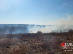 Kolejne pożary pod Tarnowem: znów płoną trawy