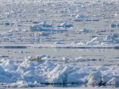 Eksperci: Topnienie lodowców może znacząco spowolnić prądy oceaniczne