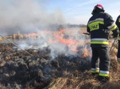 Kolosalne kary za wypalanie traw i nieużytków. Tyle zapłaci rolnik