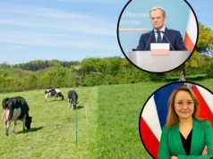 Ustawa łańcuchowa. Tusk popiera elektryczne pastuchy