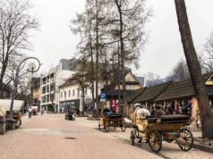 Ten zakaz rozwścieczy wiele osób. Zakopane ma dość rowerów i niskich cen