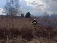 Wypalał trawy, spalił ogrodzenie sąsiada. Krakowscy policjanci zatrzymali podpalacza traw z Podgórza