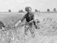 Od Winnicy przez Szwajcarską Dolinę do Weklic  [ Dawno temu ]