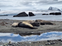 Zmiany klimatu zapisane są w osadach. Ważne badania naukowców z UKW w Kanadzie i Norwegii