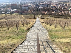 Bzenec – wyjątkowe miasto wina