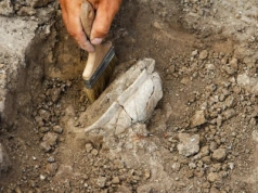 Sensacyjne odkrycie archeologów.  Nasi przodkowie zażywali silne narkotyki