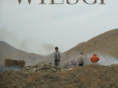 Zagrożone dziedzictwo: degradacja stanowisk archeologicznych w Peru i sposoby ich ochrony