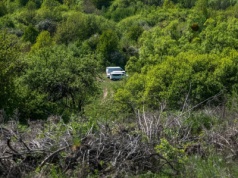 Ekshumacje w Puźnikach. Jest nowy komunikat resortu