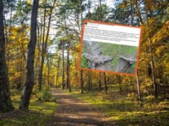 Natknęli się na niezwykłe znalezisko. Leśnicy pod wrażeniem