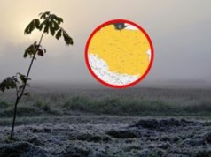 Weekendowe przymrozki. Jest ostrzeżenie IMGW