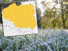 Zimni ogrodnicy dopiero przed nami. IMGW ostrzega przed przymrozkami. Alerty niemal w całej Polsce