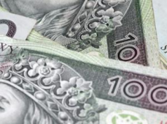 KGS: Ponad 20 tys. zł wynagrodzenia członka rady nadzorczej Elewarr?