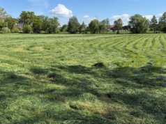 Ile suchej masy powinny mieć sianokiszonka oraz kiszonka?