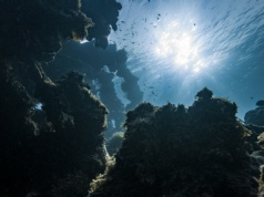 Nowe badanie pokazuje, jak niewiele wiemy o głębokich oceanach. Aż trudno w to uwierzyć