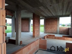 Eksperci nie mają wątpliwości – ten materiał budowlany zapewnia większy komfort w domu