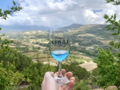 Winnica Linos – ukryty skarb u podnóża gór Troodos