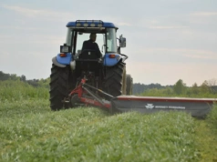 Pokos traw 2025: jakie są ceny zielonek? Ile kosztuje trawa na pniu?