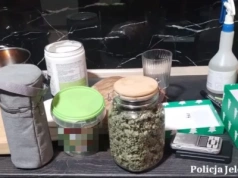 Kolejny cios w przestępczość narkotykową. Policja zabezpieczyła 3000 porcji marihuany