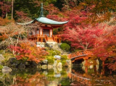 Wyjazd incentive do Japonii – wycieczki dla firm