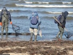 Eldorado nad Bałtykiem. Morze wyrzuciło pieniądze na plażę