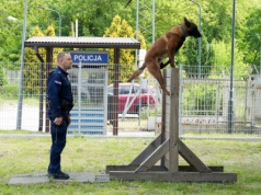 Najlepsi przewodnicy i psy z Małopolski wyłonieni (ZDJĘCIA)