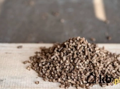 850 zł za tonę i grzeje jak pellet! Oto czym ogrzewają domy sprytni Polacy