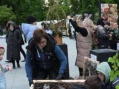 Natura lekiem na całe zło. Przed nami weekend z florystyką