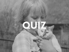 Ten quiz cię zagnie! Jak dobrze znasz polskie przysłowia o zwierzętach?