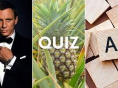 Quiz wiedzy ogólnej na literę A. Tylko ambitni pobiją średnią 6/12!