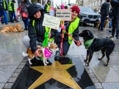 Parada Kundelków w Łodzi przeszła Piotrkowską [ZDJĘCIA]