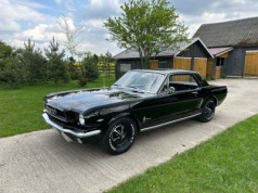Ford Mustang 1966 – 169000 PLN – Dębe Wielkie