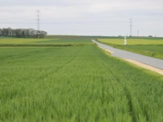 Rolnik może poddzierżawić ziemię z KOWR. Jak uzyskać zgodę?