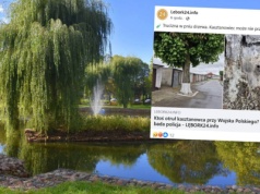 Mieszkańcy Lęborka oburzeni. Pokazali, co ktoś zrobił z cennym drzewem