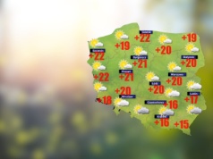 We wtorek o poranku od 0 stopni w Kwidzynie do +9 w Katowicach [POGODA DLA ROLNIKÓW]