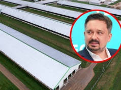 Fermy zwierząt zatruwają życie sąsiadom. Nadzieja w nowym narzędziu gmin