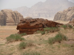 Śladami Lawrence’a z Arabii