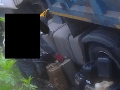 Zaskakujące kadry fotopułapki straży miejskiej