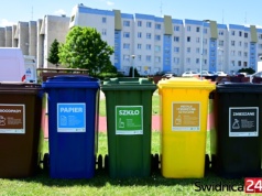 Świdniccy urzędnicy na tropie śmieciowych kombinatorów. Jak sprawdzane są deklaracje?
