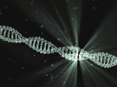 Nasze DNA przyspiesza. Mutacje zmieniają ludzkość szybciej, niż sądziliśmy
