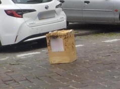 Warszawa. Rój pszczół nad głowami przechodniów