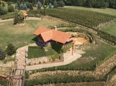Co za nieruchomość. Klimatyczna winnica w dolinie Sanu na sprzedaż