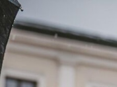 Terytorialsi świętowali w Zamościu. Przysięga, defilada i piknik