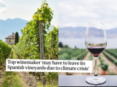Hiszpania: czołowy producent wina rozważa przeprowadzkę z powodu wyraźnych zmian klimatu