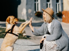 Polska firma podbija świat. Animalhotels rozwiązuje problem właścicieli zwierząt
