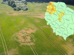IUNG: susza rolnicza tylko w kilku województwach. Najgorzej w zbożach