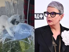 Wykorzystują psy do zdobycia lajków. Korwin Piotrowska grzmi na skandaliczny trend na TikToku