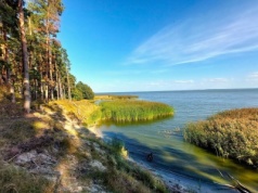 Zalew Wiślany pod nadzorem specjalnym [ Gospodarka ]